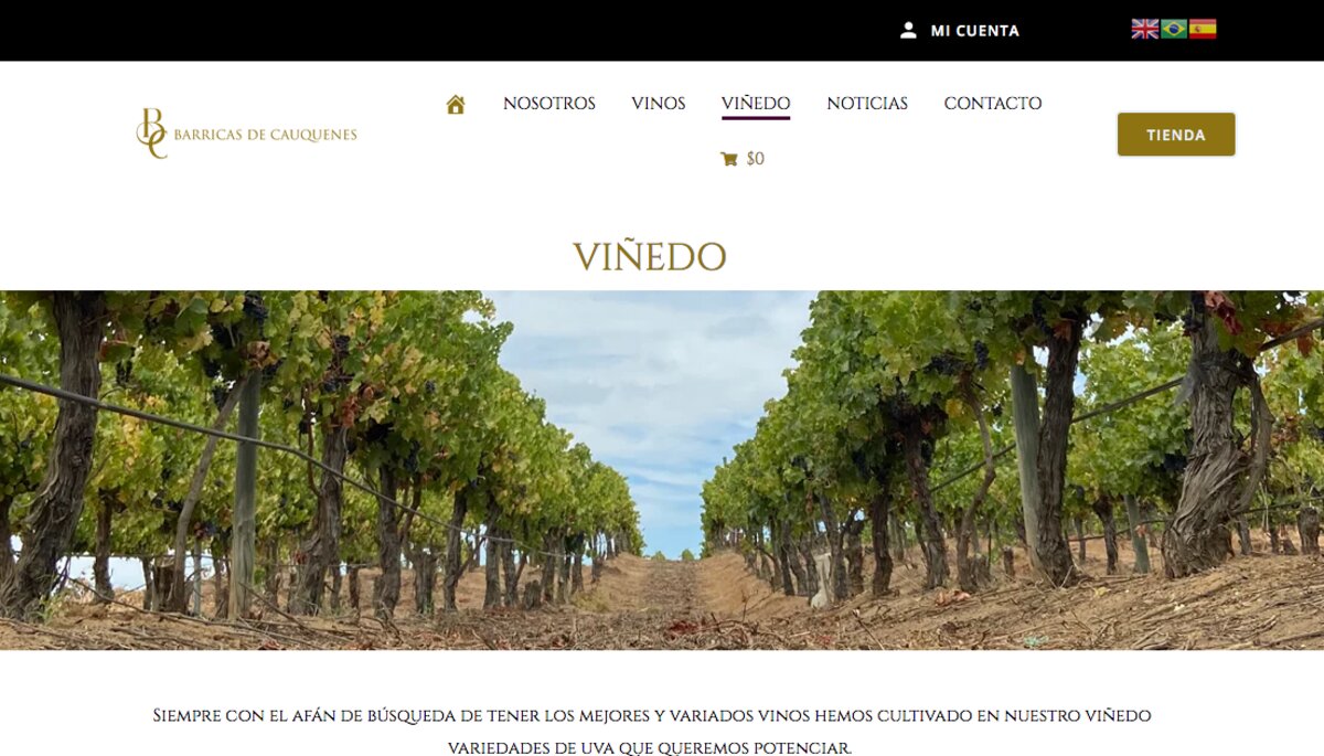 Vinos Marselan