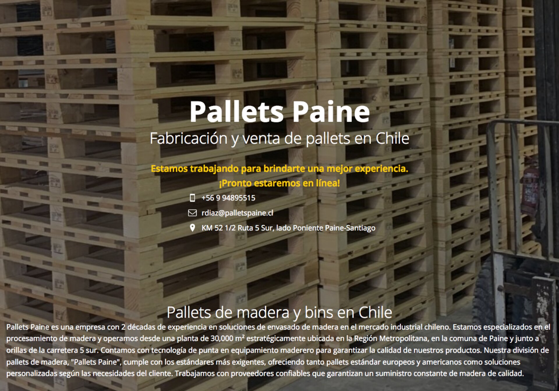 Euro pallets nuevos en chile